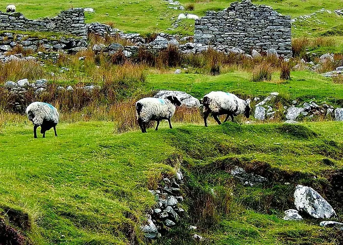Appartement Ocean View One Bedroom Cozy